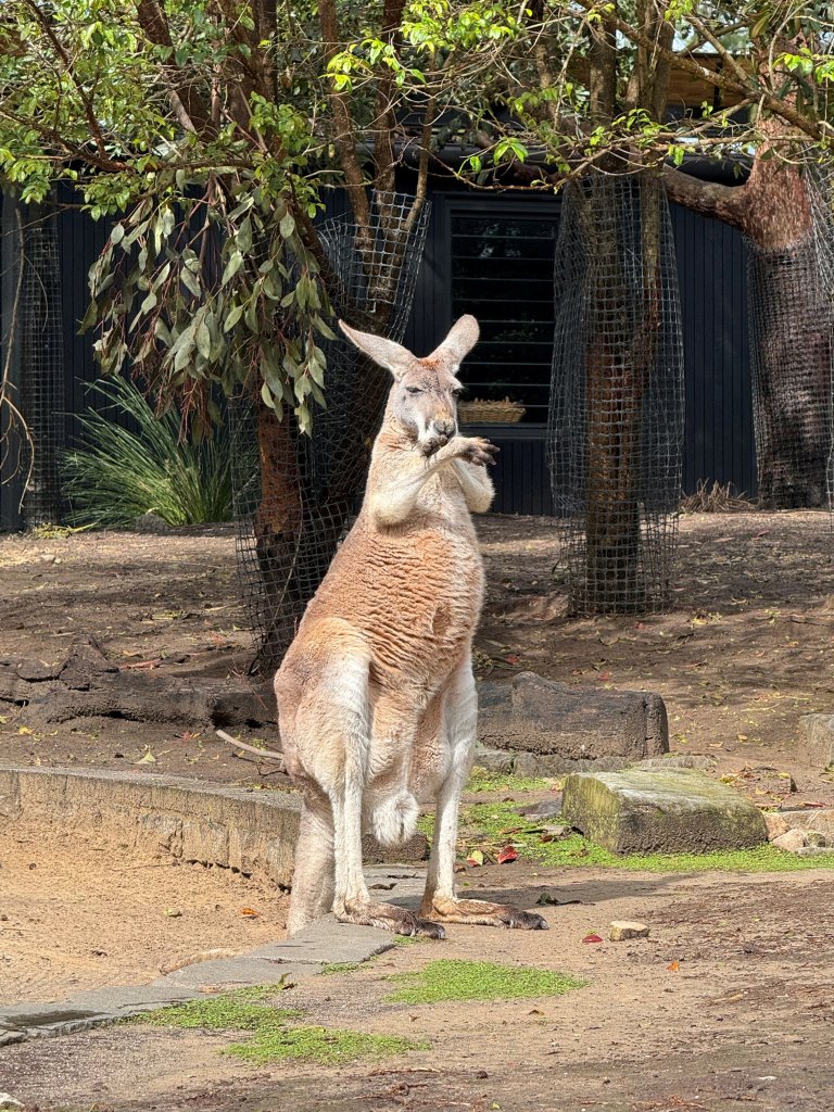 AssaadRazzouk's tweet card. The Achilles heel of AI and AGI is electricity. By 2030, new data centers require $6.7 trillion worldwide, based on current market data, to keep pace with the demand for compute power. Not much,...