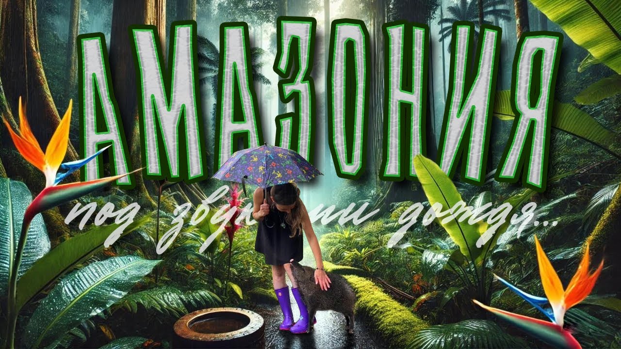 Plantanario's tweet card. АМАЗОНИЯ: Прогулка под звуками дождя в джунглях Эквадора