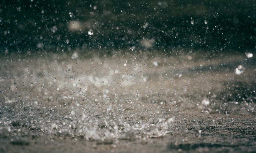 SecurityEditor's tweet card. Last year was another bonanza in zero-days for Chinese state hackers, say security researchers in a report predicting a permanent uptick in nation-state