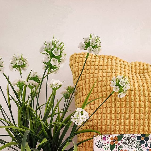 elmundoderocio's tweet card. Ro🦋 (@laslecturasderocio) • Instagram photo