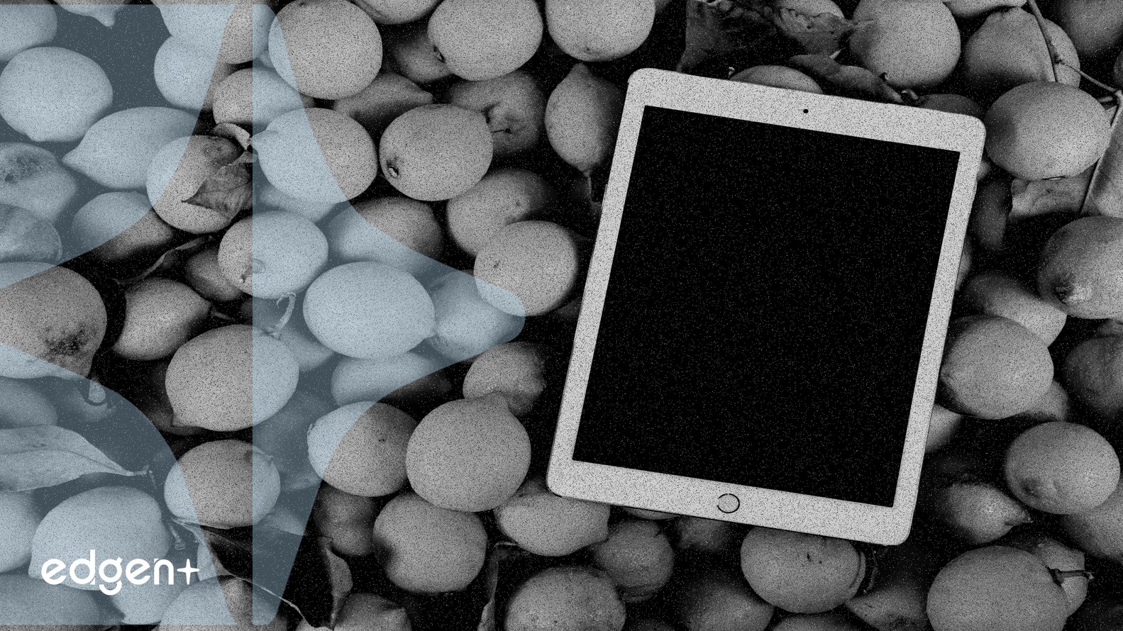 ovroahmedMod's tweet card. Bitget has launched a new project, MON, on its Launchpool platform, offering high annual percentage rates (APRs) for staking, which has attracted bullish market sentiment. The initiative uses a...