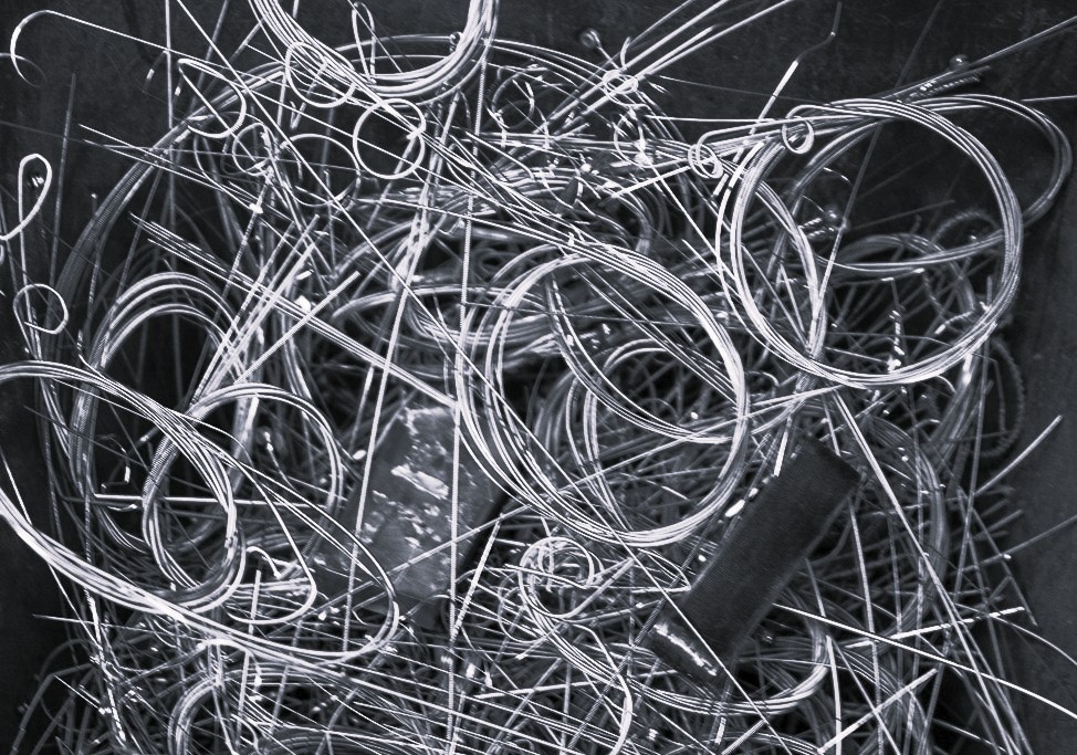 thewoolfx's tweet card. .