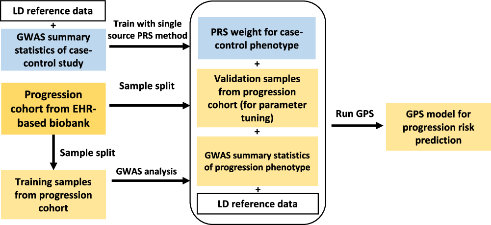 dajiangliu81's tweet card. Nature Communications - The authors propose a Genetic Progression Score (GPS) model to predict autoimmune disease progression from preclinical stages, integrating genome-wide association study...