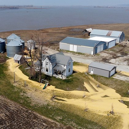 Tweet card summary image