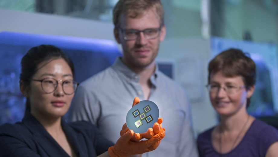 CModifiers's tweet card. A new study led by The Australian National University (ANU) could lead to cheaper and more efficient solar technology.