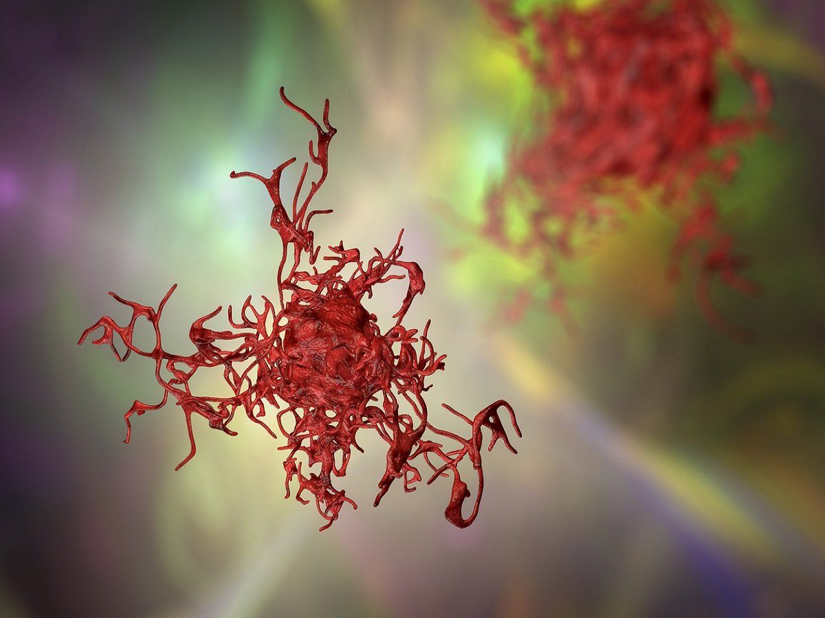 BrainDisorders's tweet card. The 'brain-eating' amoeba, as the name suggests, is a microbe that has the potential to cause brain damage. Once it moves into the human brain, it can destroy brain tissue and cause inflammation and...