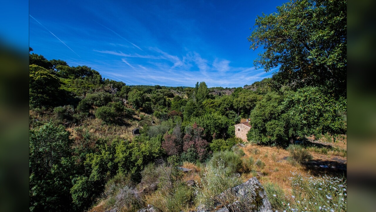 TheBodyCodeTBC's tweet card. Do you feel the urgency to build something meaningful, regenerate the human spirit, and protect the land that holds us? Then you can support me to create this Sanctuary for Humanity by donating just...