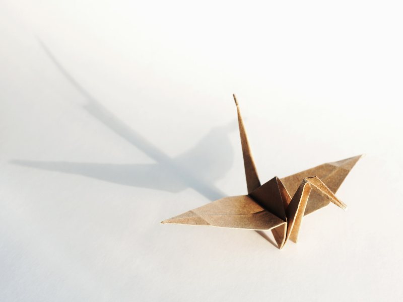 siliconrepublic's tweet card. Sci-Tech 100: In a world changing rapidly before our eyes, here are 22 scientists aiming to advance our understanding of the world and beyond in 2019.