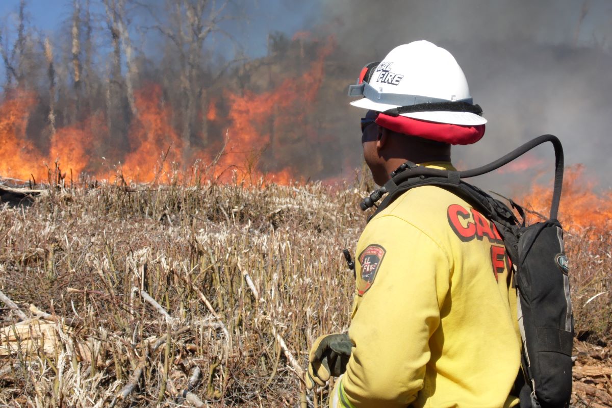 CSUSM's tweet card. Through lab research, field work and service projects, the CSU is helping California build more fire-resistant homes to withstand devastating wildfires.