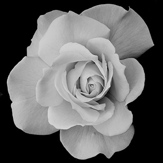 Davitiz's tweet card. Oggi, l'innovazione tecnologica richiede un fondamento umano solido. Questa sezione è dedicata a una tesi fondamentale: la padronanza di applicazioni tecniche all'avanguardia (come l'Intelligenza...