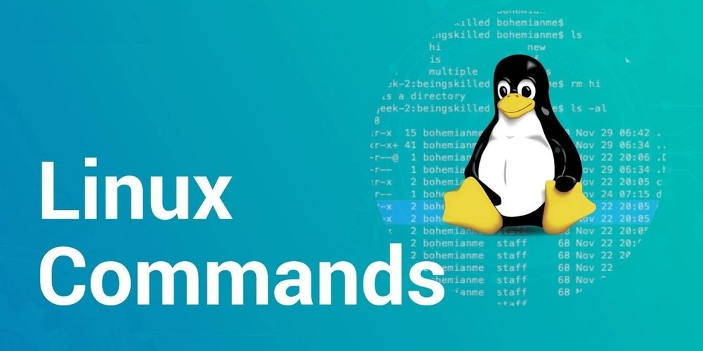 BilalTariq01's tweet card. ✨ Daily Learning Update – Linux Fundamentals 🐧 Today I learned Linux fundamentals, and it...