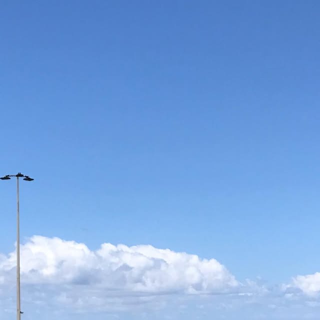 DesignFizz's tweet card. DesignFizz (@thedesignfizz) • Instagram photo