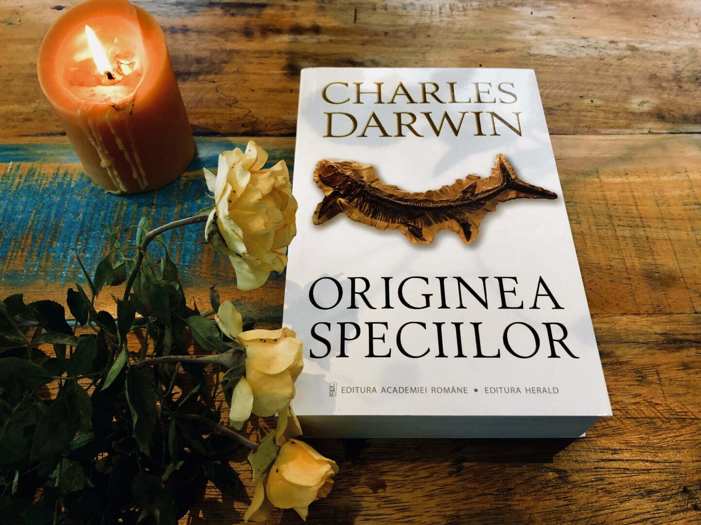 anaarecarti's tweet card. Charles Darwin a pus bazele evoluţionismului şi teoriei selecţiei naturale. Munca sa a schimbat radical modul în care omenirea s-a raportat la mediul înconjurător.