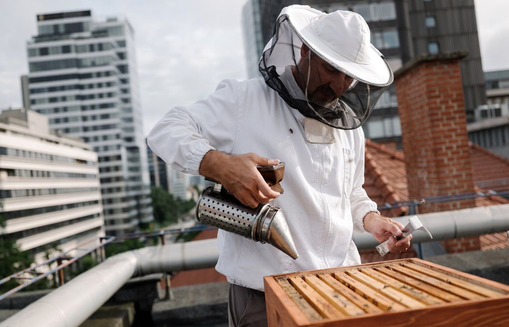 beegeek's tweet card. The craze for honeybees, especially among corporations eager to demonstrate their green bona fides, now presents a ecological challenge around the world.