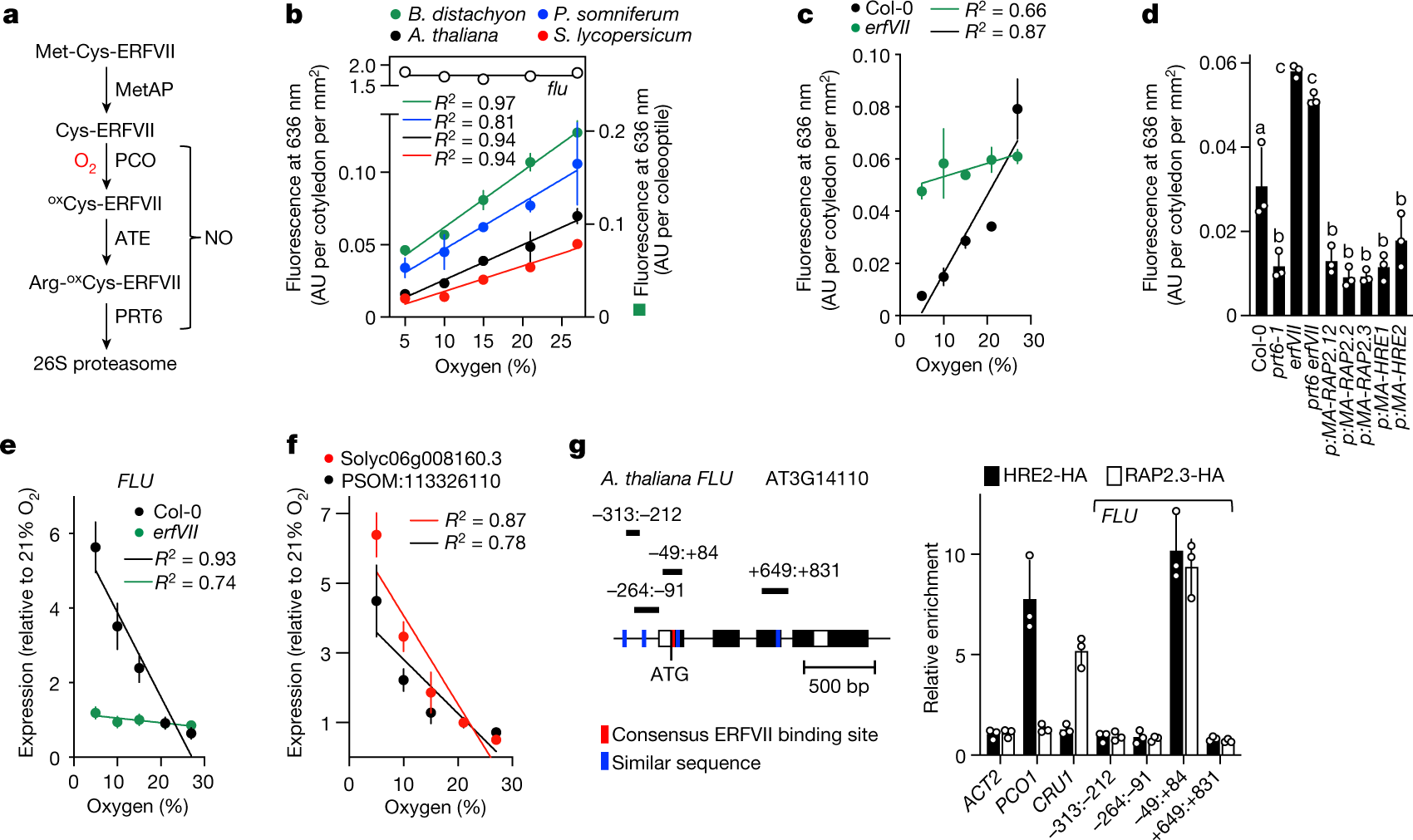 N_end_rules's tweet card. Nature - Plants have adapted to grow at specific altitudes by regulating chlorophyll synthesis in response to ambient oxygen concentration, calibrated by altitude-dependent activity of GROUP VII...