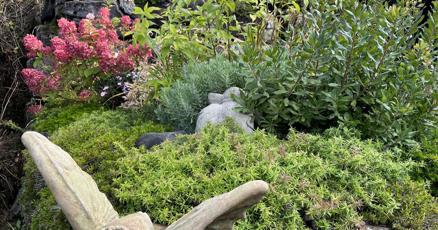 northstarpublis's tweet card. When you drive along Danville’s Oneida Road, a sudden uphill curve displays a small barn and steep gully, where rock walls and brightly flowering gardens sweep up a short ridge.