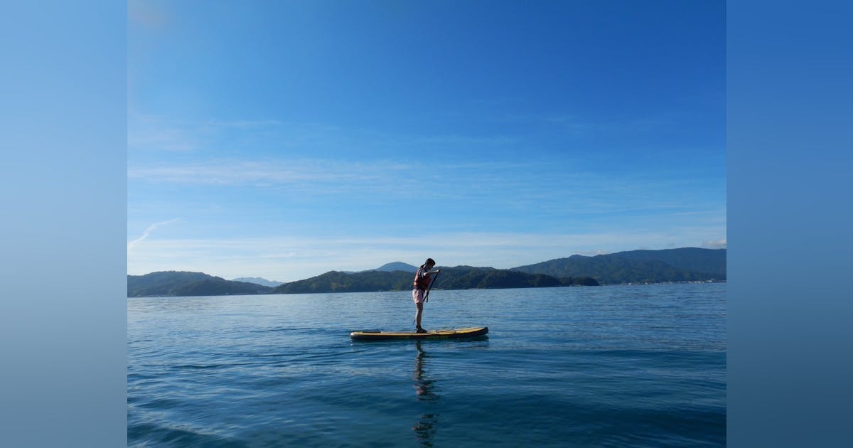 nicetomeetdance's tweet card. 2023/01/08に投稿されたコロナ禍で実現されなかった公演を、自分たちの手で！の活動報告です