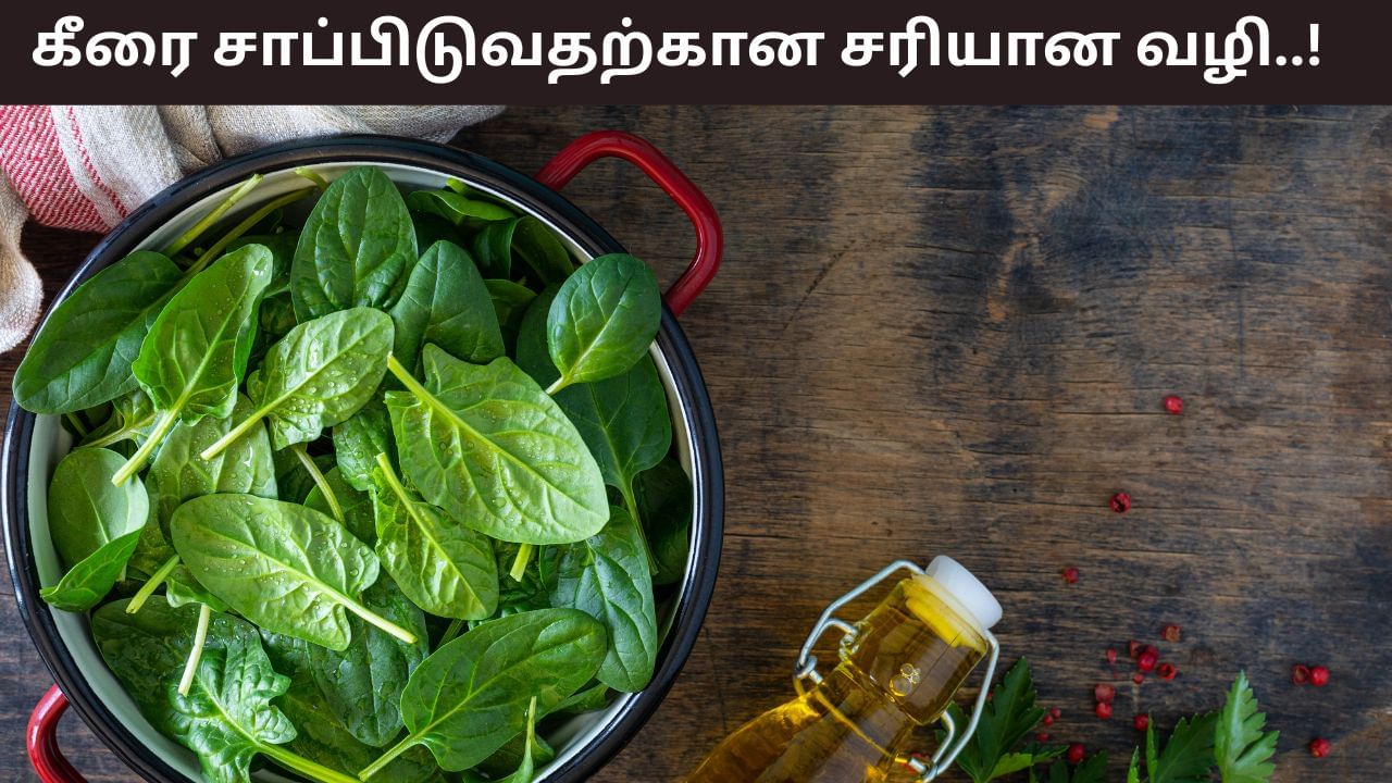 TV9Tamil's tweet card. How Do You Eat Spinach: கீரையை உட்கொள்வது மிகவும் நன்மை பயக்கும் என்றாலும், அளவுக்கு அதிகமாக எடுத்துகொள்ளாமல் குறைந்த அளவில் மட்டுமே எடுத்துகொள்ள வேண்டும். அதிகளவில் எடுத்துகொள்வது உடலுக்கு சில...