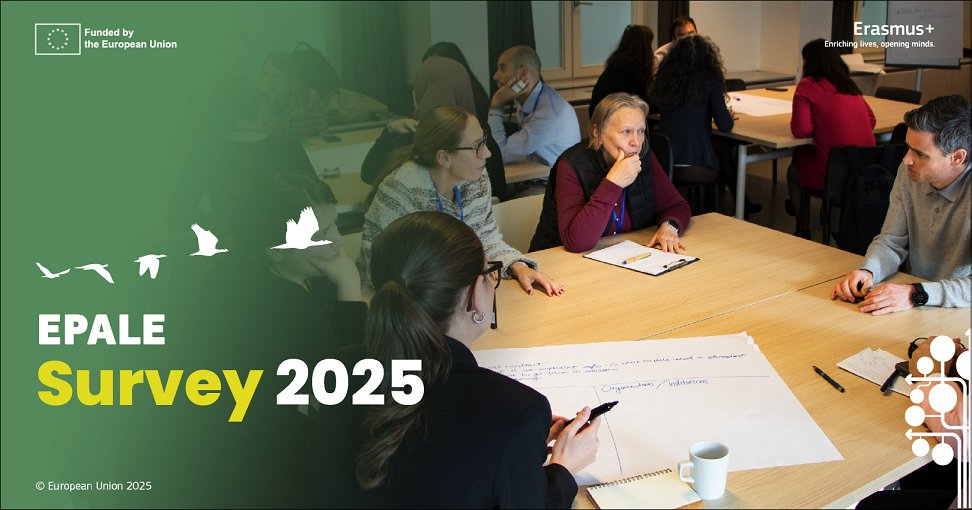 EPALE_EU's tweet card. EPALE Survey: Help us shape the future of EPALE