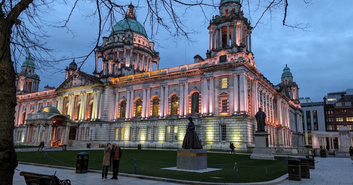 BelfastLive's tweet card. The flag will fly on City Hall on November 29.