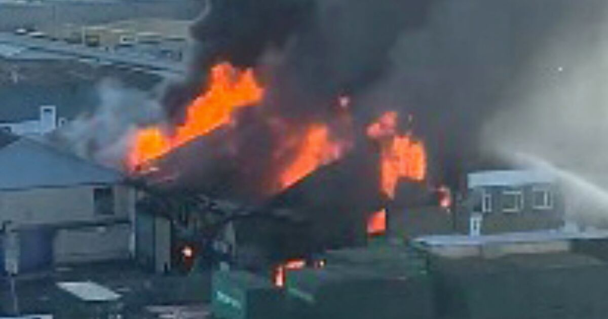 Eli_the_dog's tweet card. Traffic in the area will be impacted as crews respond, firefighters warned.