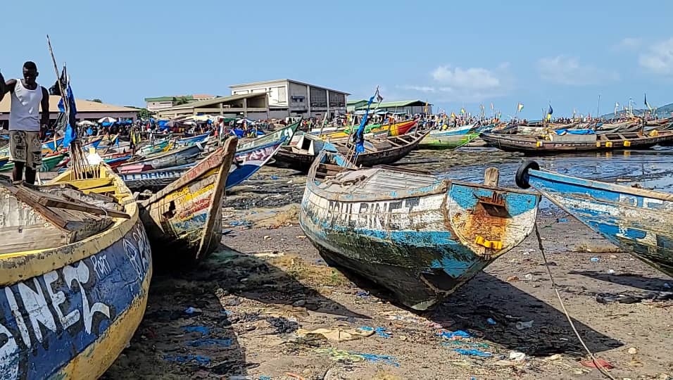 scidevafrique's tweet card. Les autorités appelées à agir en urgence pour stopper La consommation du kush, une drogue de synthèse qui a fait 8 morts rien que dans la première semaine de juin 2025.