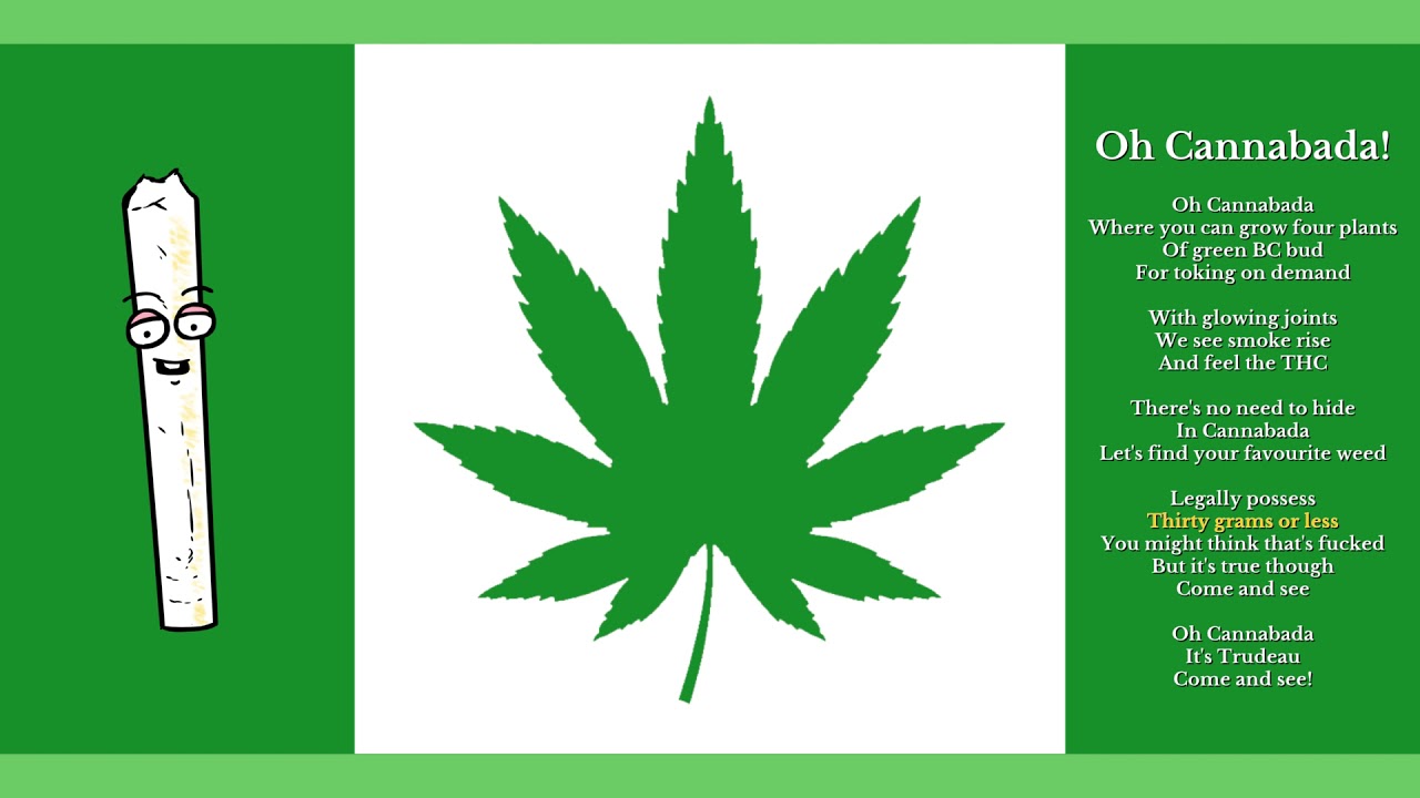 msadotcc's tweet card. Oh Cannabada!