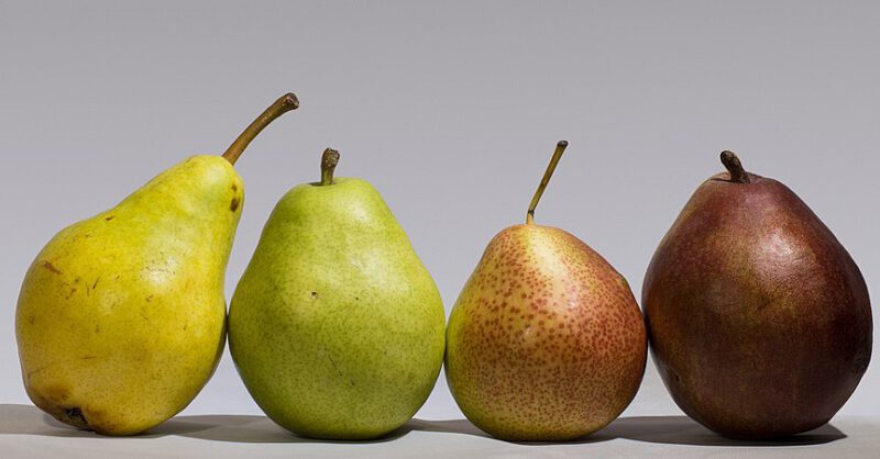 foodlog_nl's tweet card. In verlaten tuinen en oude boomgaarden zoekt Isabella Dalla Ragione naar fruit dat bijna niemand meer kent. De Italiaanse landbouwkundige redt vergeten…