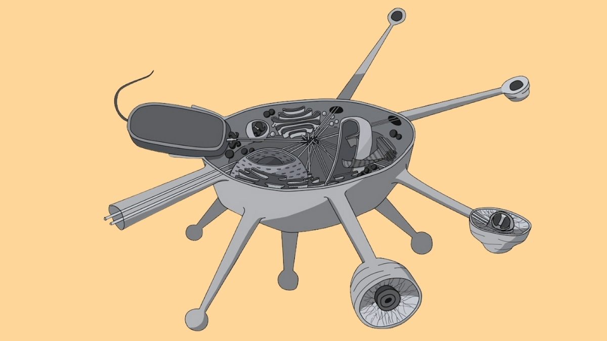 _Georgeobeid's tweet card. A very distant relative.