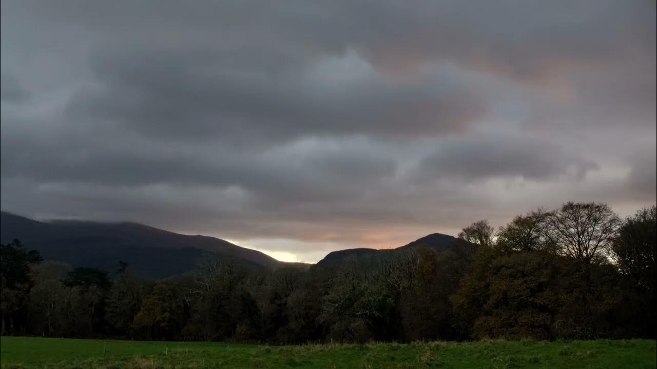 nightly_moth's tweet card. Bob Dylan and his band performing Mother of Muses in Killarney...