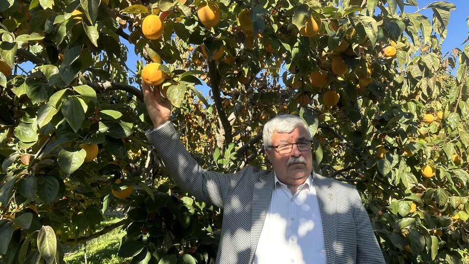 BloombergHT's tweet card. Hasat döneminde ithalat çiftçiyi mağdur etti