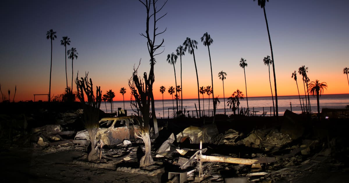 libe's tweet card. Lettre affectueuse à la cité-ciné en deuil de David Lynch, à l’heure où flambent ses beaux quartiers et où l’Amérique investit Trump, son ennemi juré.