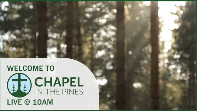 ThePineTree's tweet card. Arnold, CA…Chapel in the Pines is an Evangelical Covenant church located in the Sierra Nevada mountain community of Arnold. Arnold is an attraction for many visitors due to the many recreatio…