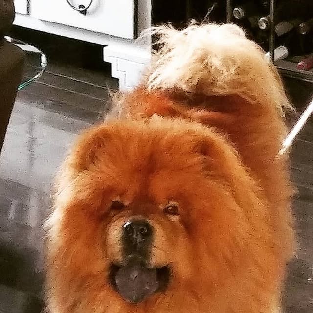 culinarydrinks's tweet card. Jeremy J Parsons (@culinarydrinks) • Instagram photo