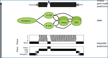 RNASeqBlog's tweet card. Helixer uses deep learning for accurate gene prediction in diverse species, offering a fast, accessible alternative that avoids RNA sequencing requirements...
