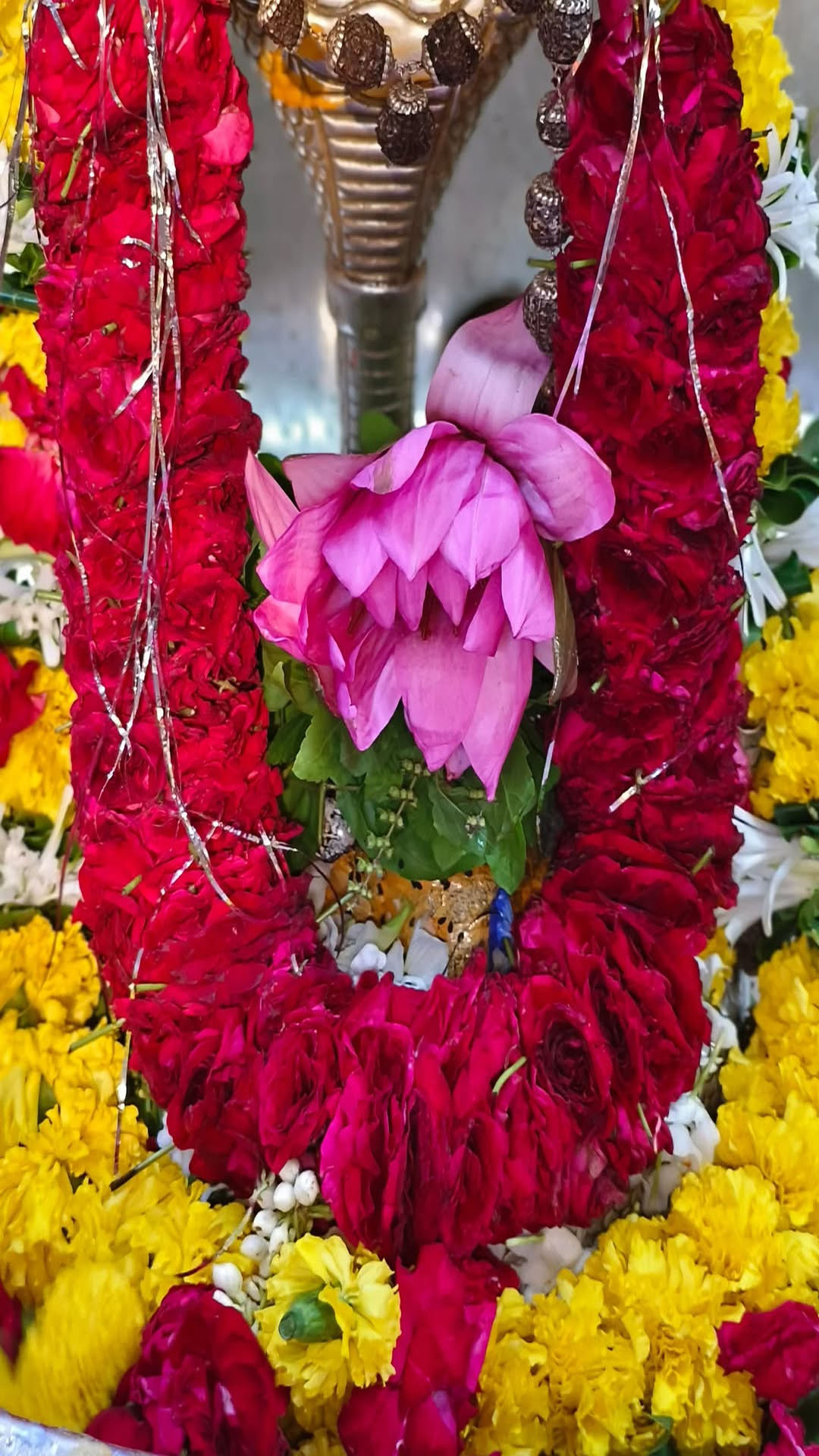 sandeshnews's tweet card. ધનના દેવતા કુબેરેશ્વર મહાદેવના કરીલો દર્શન