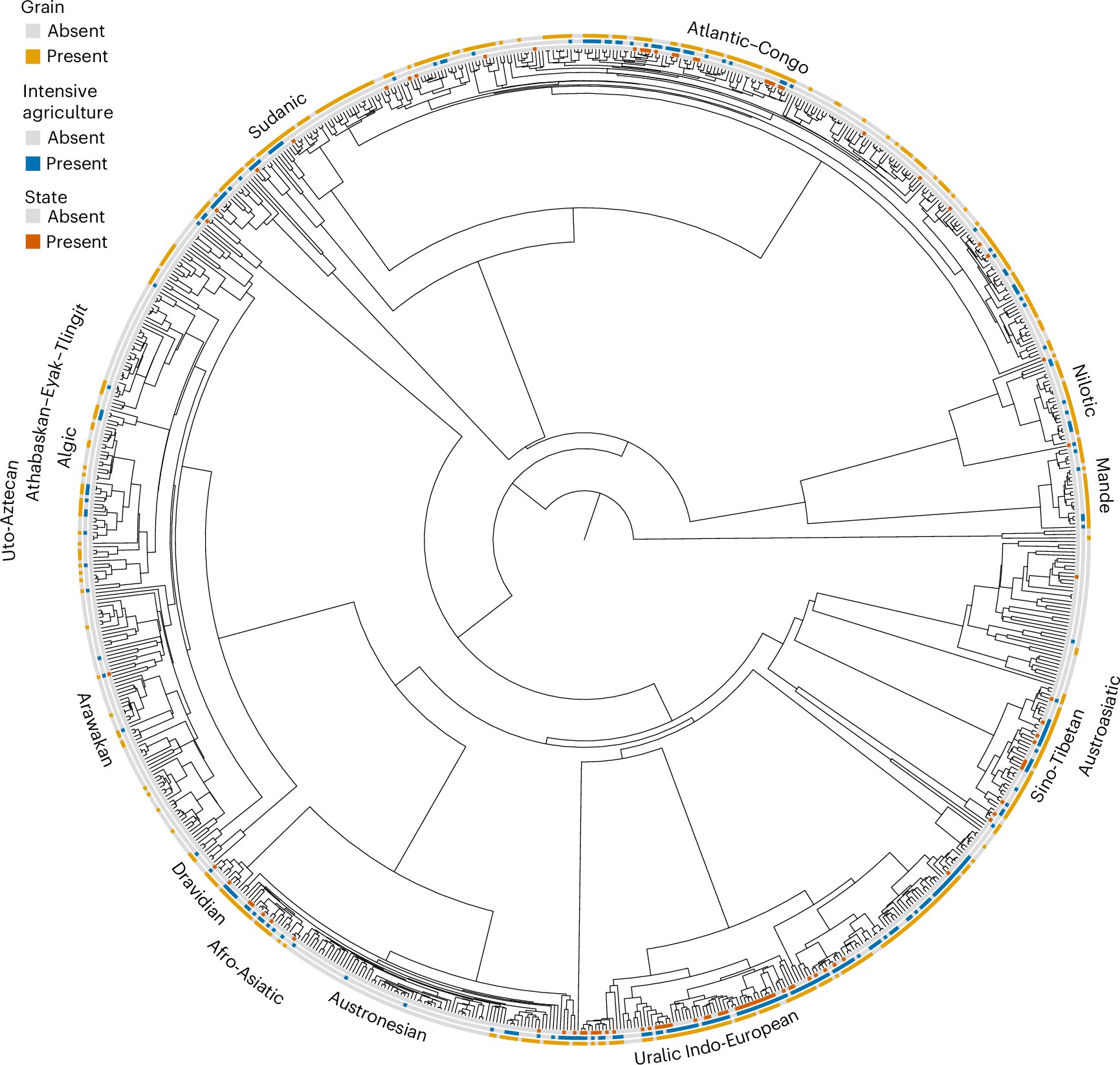 NatureHumBehav's tweet card. Nature Human Behaviour - Opie and Atkinson conduct a global phylogenetic analysis of 868 cultures and find evidence indicating that cereal grain cultivation, not agricultural surplus, drove state...