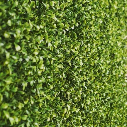 Bash_Creative's tweet card. BashFromThePast (@bashftp) • Instagram photo