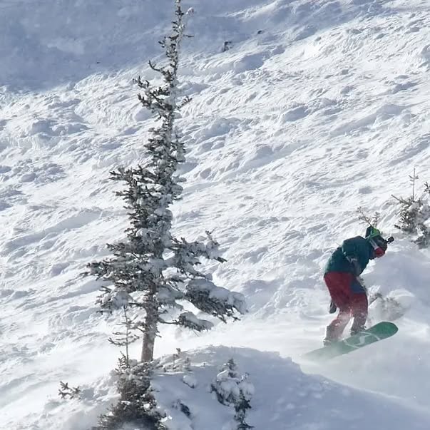 Zach5280's tweet card. Zachary Varón (@zach5280) • Instagram photos and videos