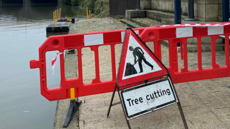 VassiliPapa's tweet card. Vassili Papastavrou says the council's felling of trees poses serious risks for future generations