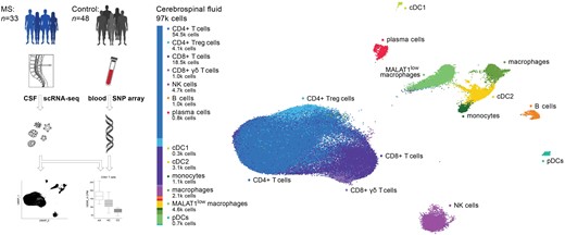 NeuroPharmLab's tweet card. Ban et al. use single-cell RNA sequencing to explore the characteristics of cells within the CSF of patients with multiple sclerosis and other neurological