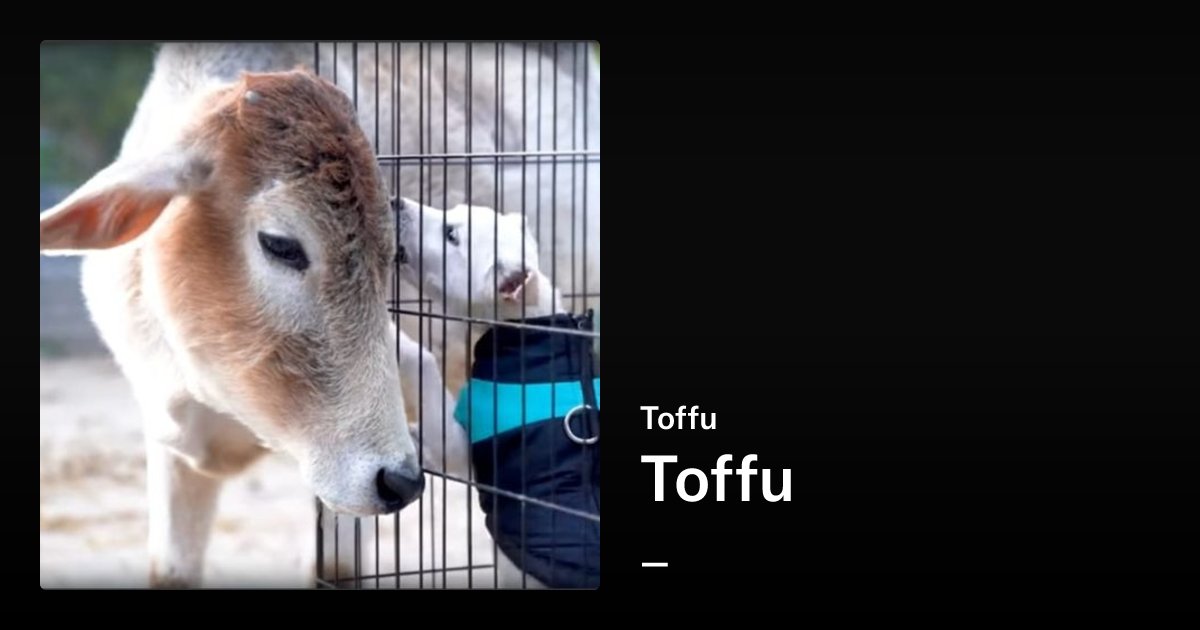 Isparkztechno's tweet card. toffu