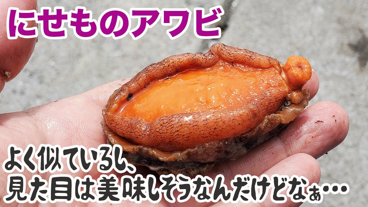 PATA_iridescent's tweet card. よく似ているし、見た目はとても美味しそうなんだけどなぁ