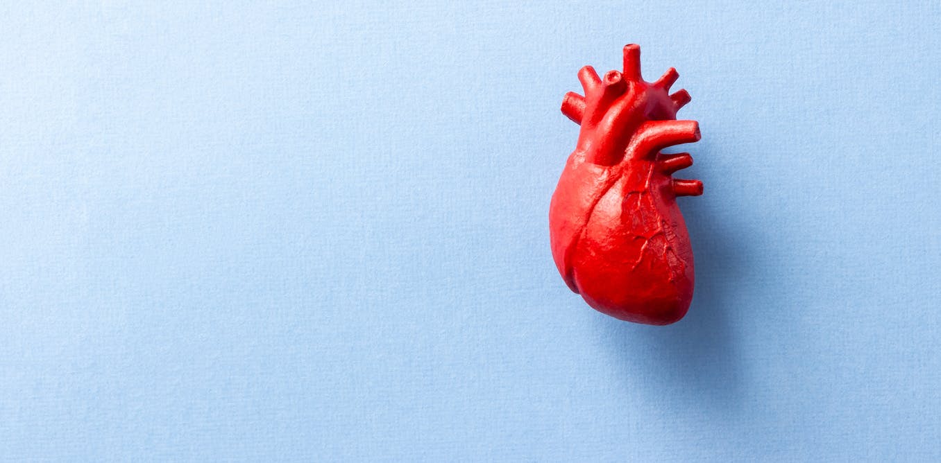 bobanddianefund's tweet card. A 25-year study reveals that silent heart damage in your 50s can predict dementia risk decades later.