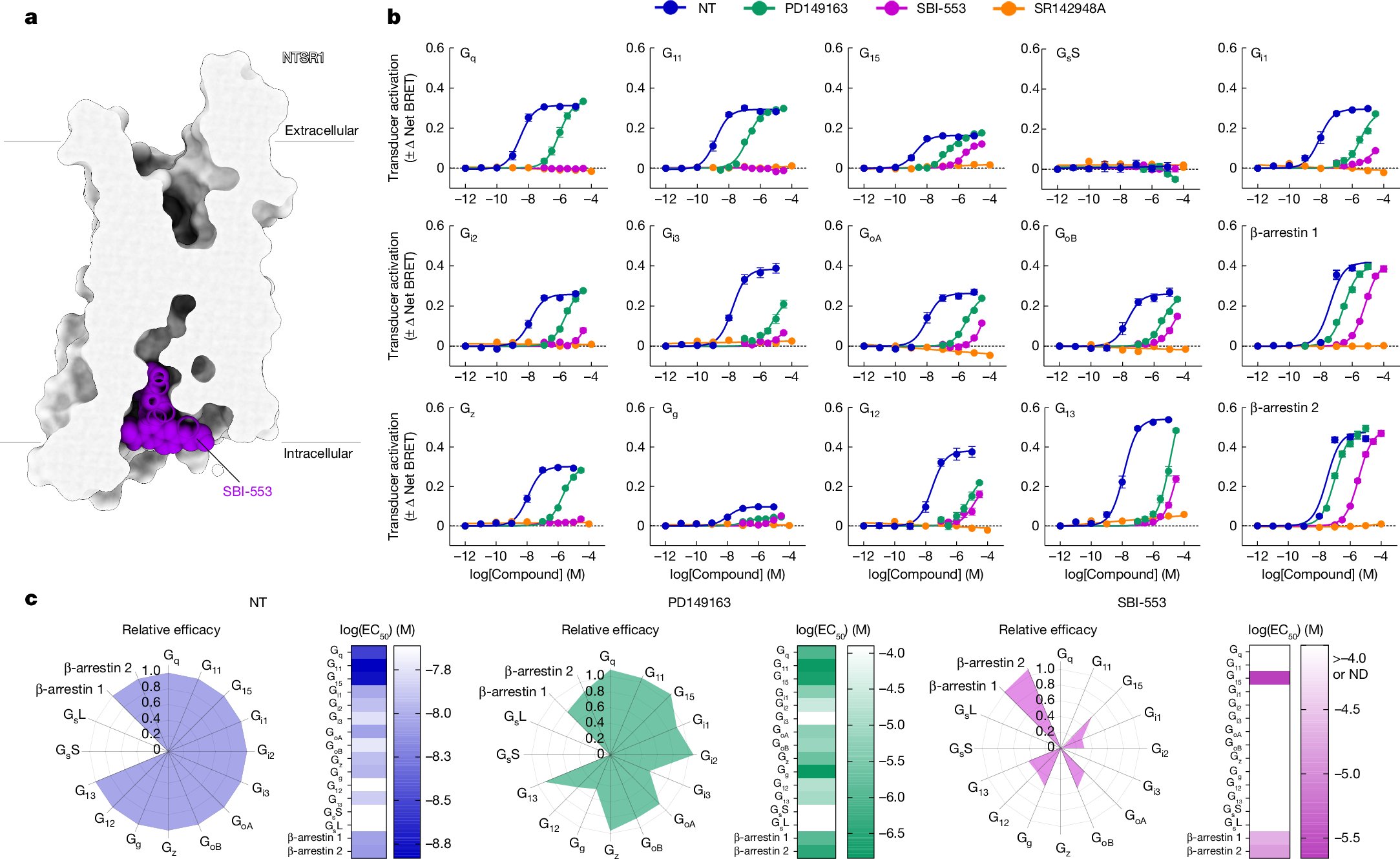 LaurenSlosky's tweet card. Nature - Studies of the G-protein-coupled receptor NTSR1 show that the G protein selectivity of this receptor can be modified by small molecules, enabling the design of drugs that work by switching...