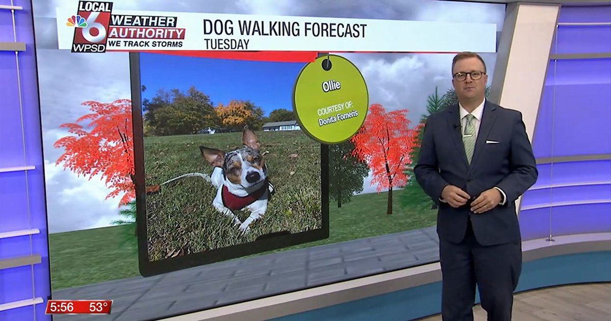 WPSDLocal6's tweet card. After a rainy early morning, we'll be in for a cloudy day with highs in the lower 60s. A few lingering spotty showers are possible, but it's still an overall