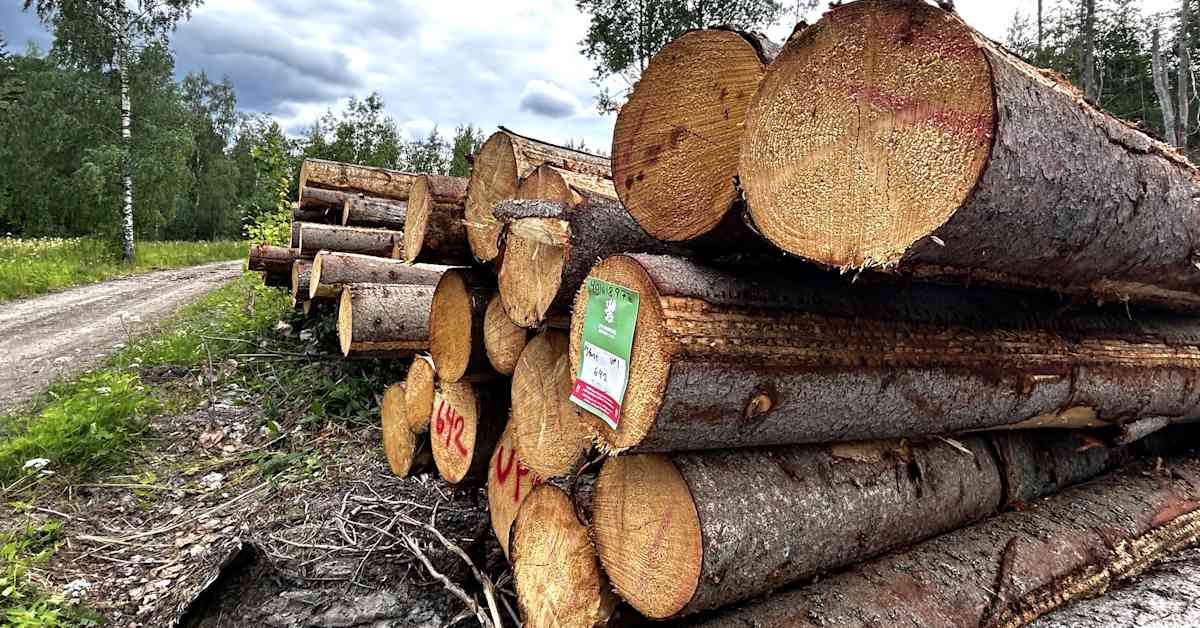 petri_roininen's tweet card. Ensi vuonna ratkaistaan, kuinka kalliiksi Suomen metsien ja soiden hävittäminen koituu. Suomi ei ole pääsemässä kasvihuonekaasujen vähennystavoitteeseensa.