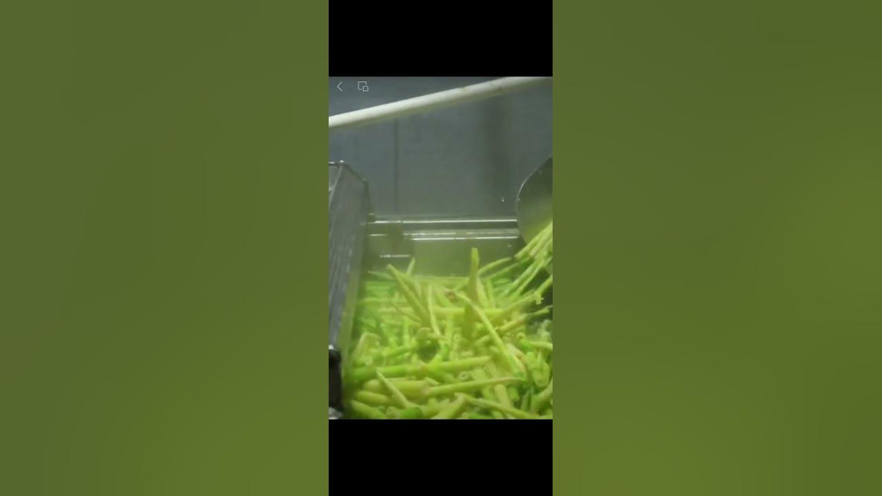 LdmOhL1ietRzolE's tweet card. Bamboo shoot processing line #bambooshoot #machine #processline...