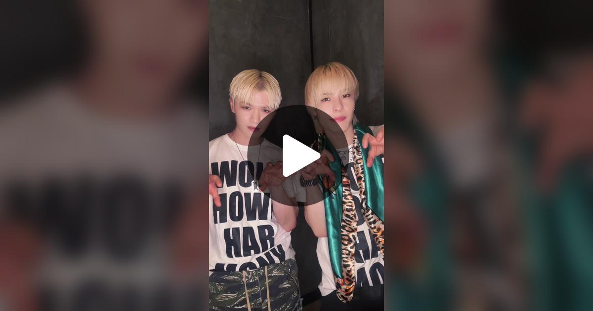 WOLFHOWLHARMONY's tweet card. 26.7K likes, 140 comments. “หมาป่า🐺❤️‍🔥 พอจะเป็นหมาปั๊กของคุณได้มั้ยครับ🐶”