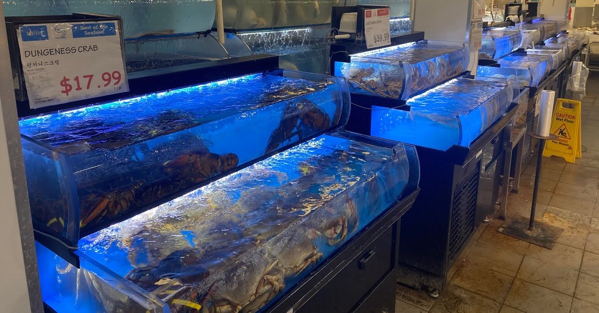 CurrentTopics3's tweet card. تسوق المأكولات والمنتجات الكورية في "اتش مارت" | H Mart Korean Food& Grocery Storeتسوق، رحلات، فنادق، مطاعم، شراء، محلات، عرض منتجات،